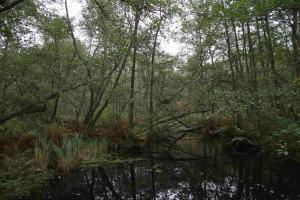 Herrnburger Landgraben